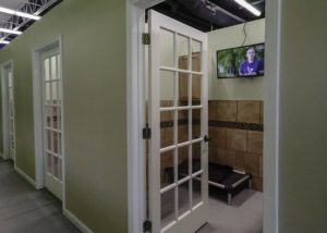 Commercial build out - private dog suite