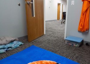 Office build out - sensory room