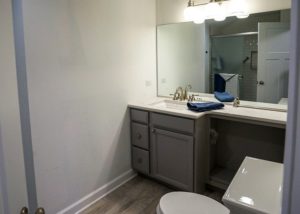 White accessible bathroom, sink area