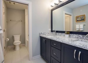 Custom Built Home - bathroom, Medinah, IL